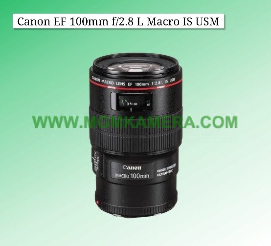 Canon 100mm macro f2.8 L USM